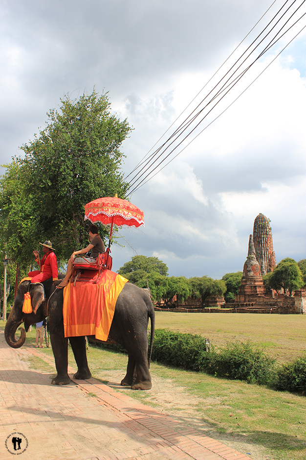 Turistas paseando en elefante en Ayutthaya