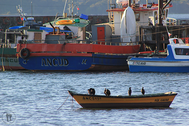 Puerto de Ancud