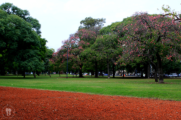 Parques y jardines en Palermo