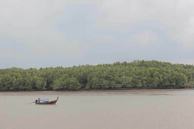 Paseando la orilla de Krabi