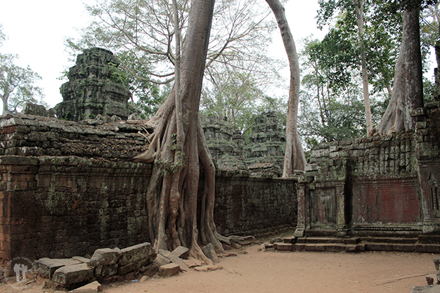 Ta Prohm