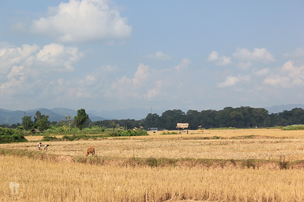 Vistas de los alrededores de Luang Nam Tha