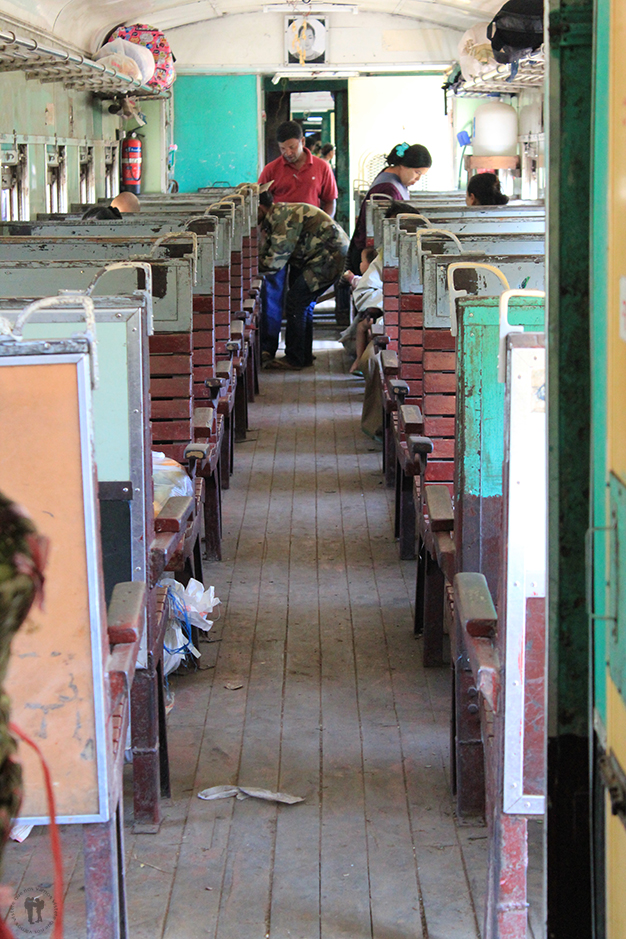 ¡Pasajeros al tren!