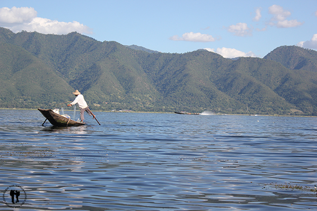 Pescador remando mientras recoge la red, técnica única de la zona