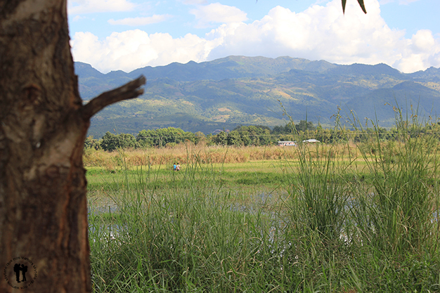 Alrededores de Nyaung Shwe