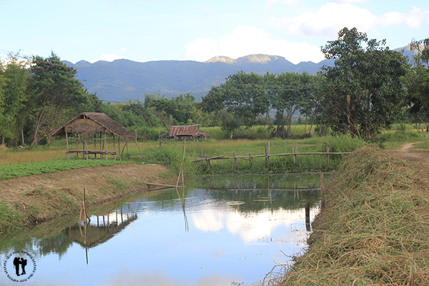 Alrededores de Nyaung Shwe