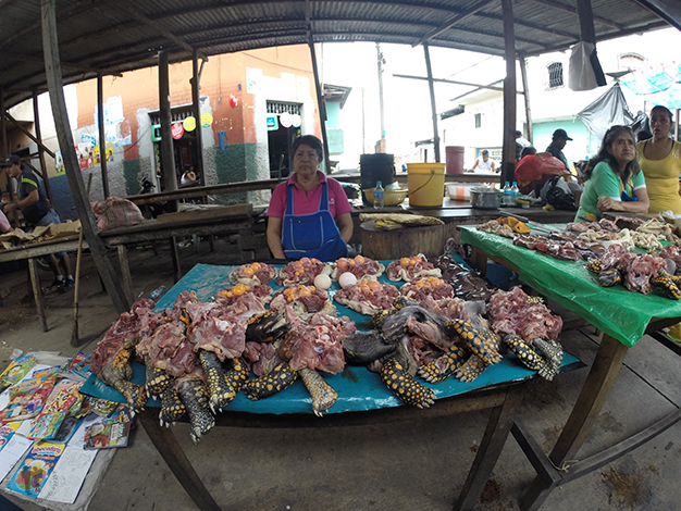 Mercado de Belén. Puesto de carne de tortuga