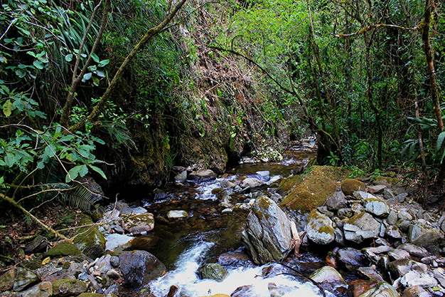 Recorrido por el valle