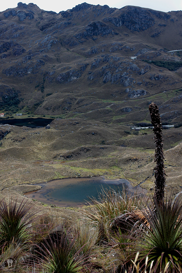 Vistas de las lagunas