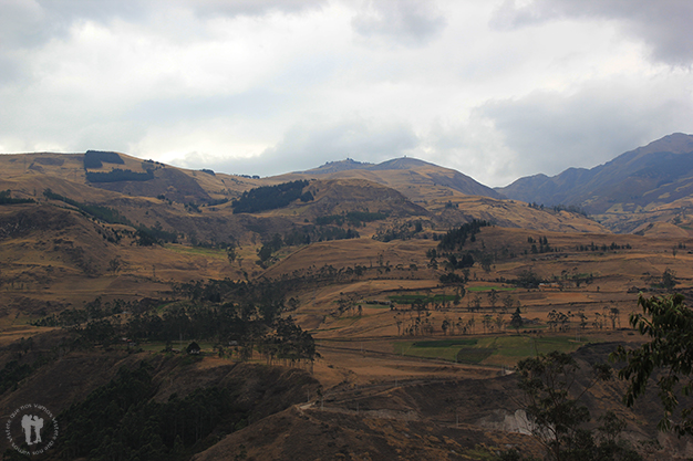 Paisaje por el que se pierde el tren