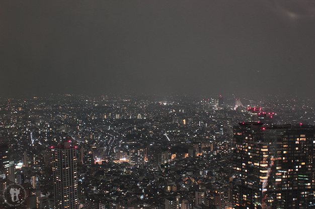 Así luce Tokyo de noche