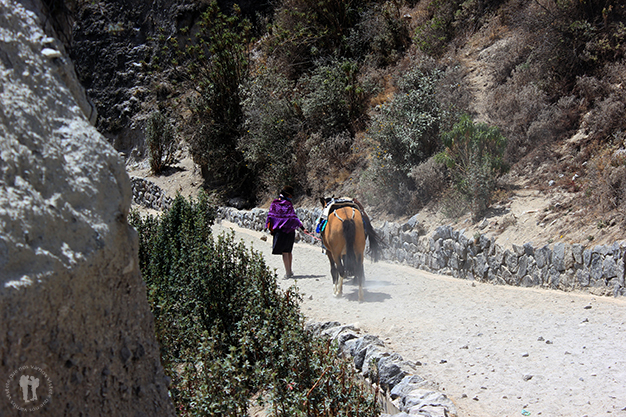 Durante el camino de bajada