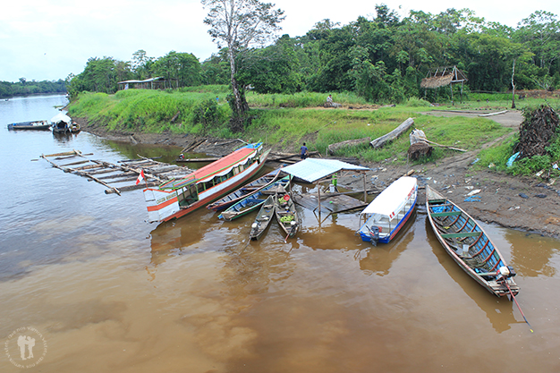 Botes locales