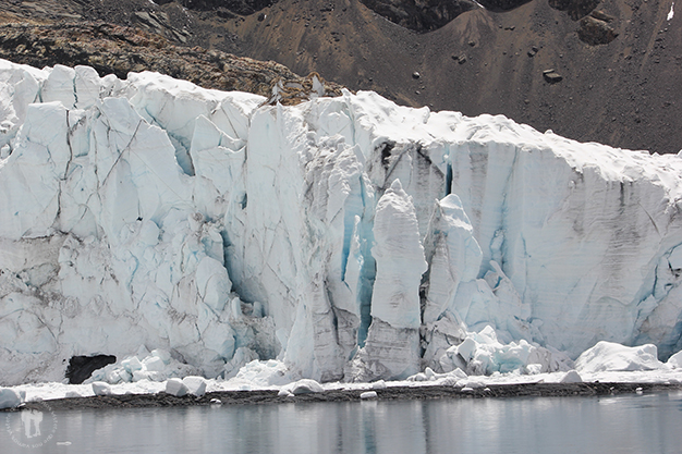 Glaciar del Nevado Pastoruri