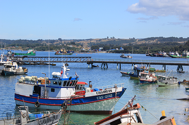 Puerto de Dalcahue