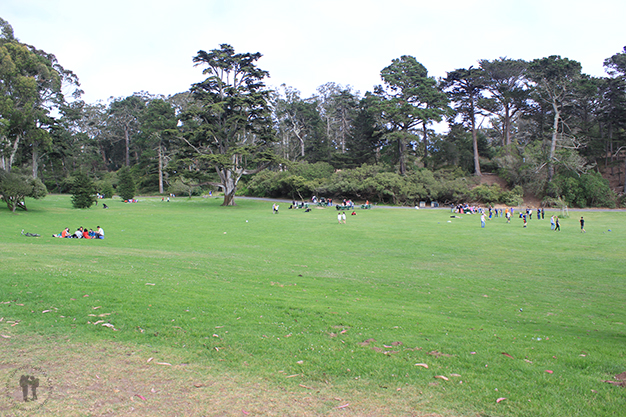 Golden Gate Park