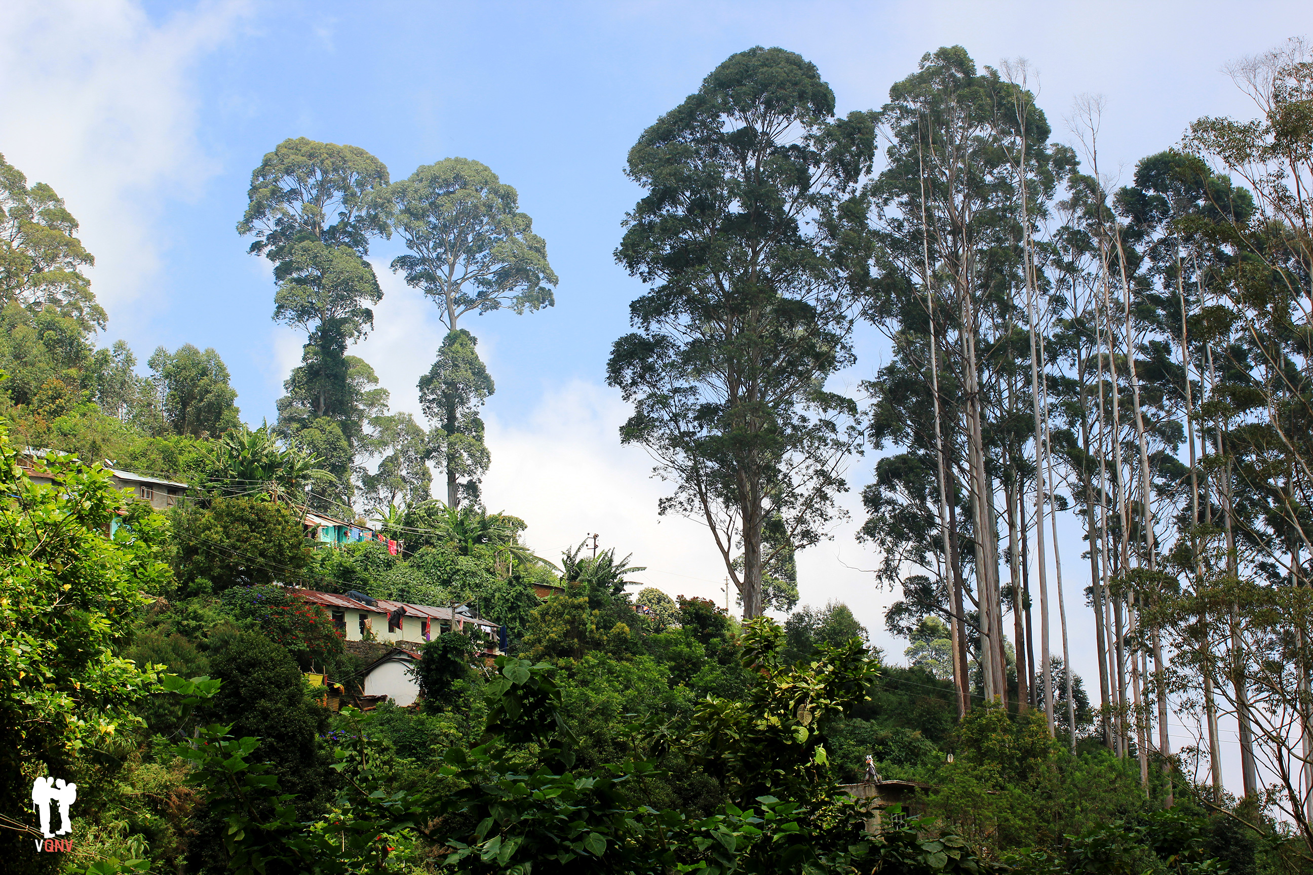 Paisaje cercano a Vattakanal