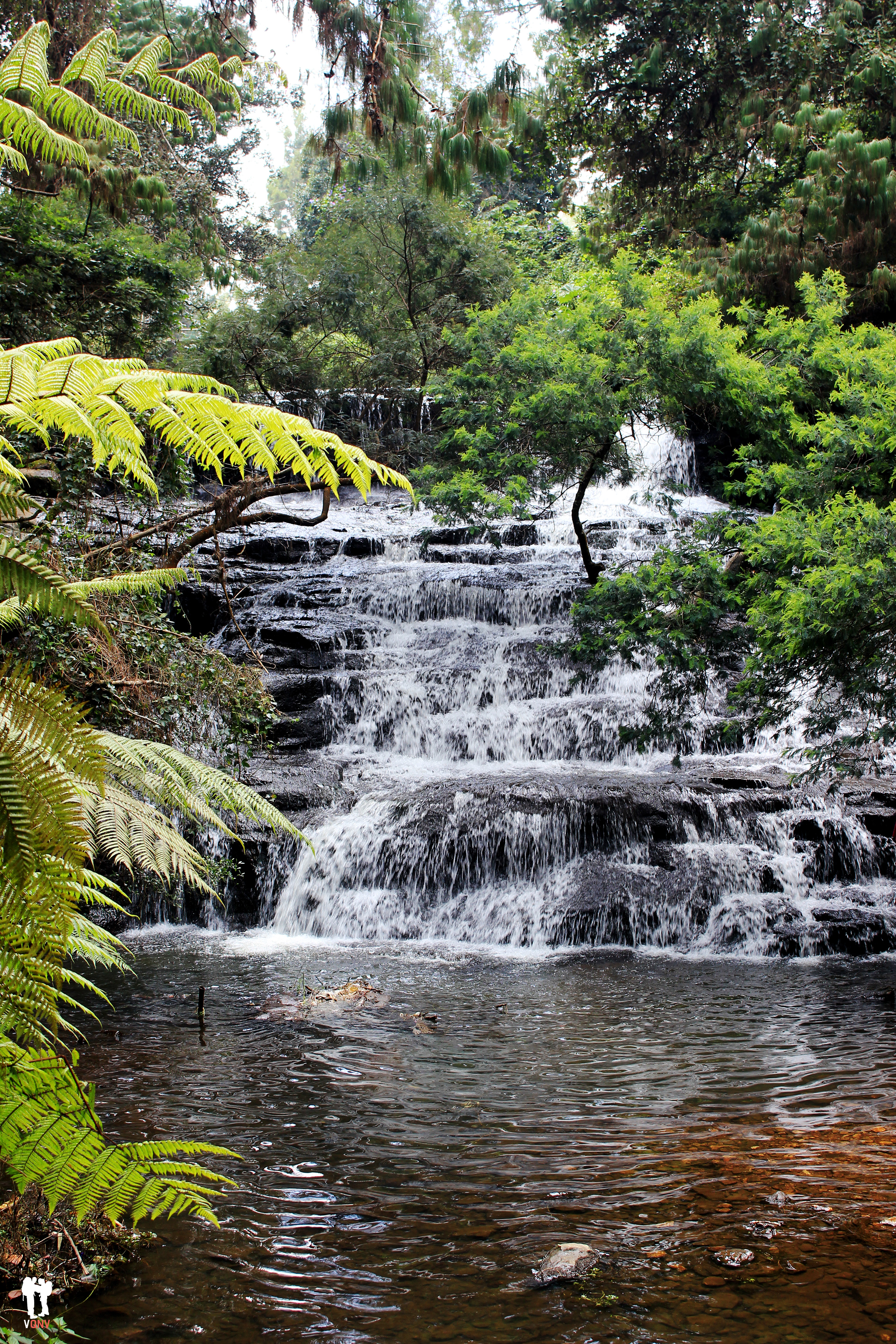 Cascada de Vattakanal