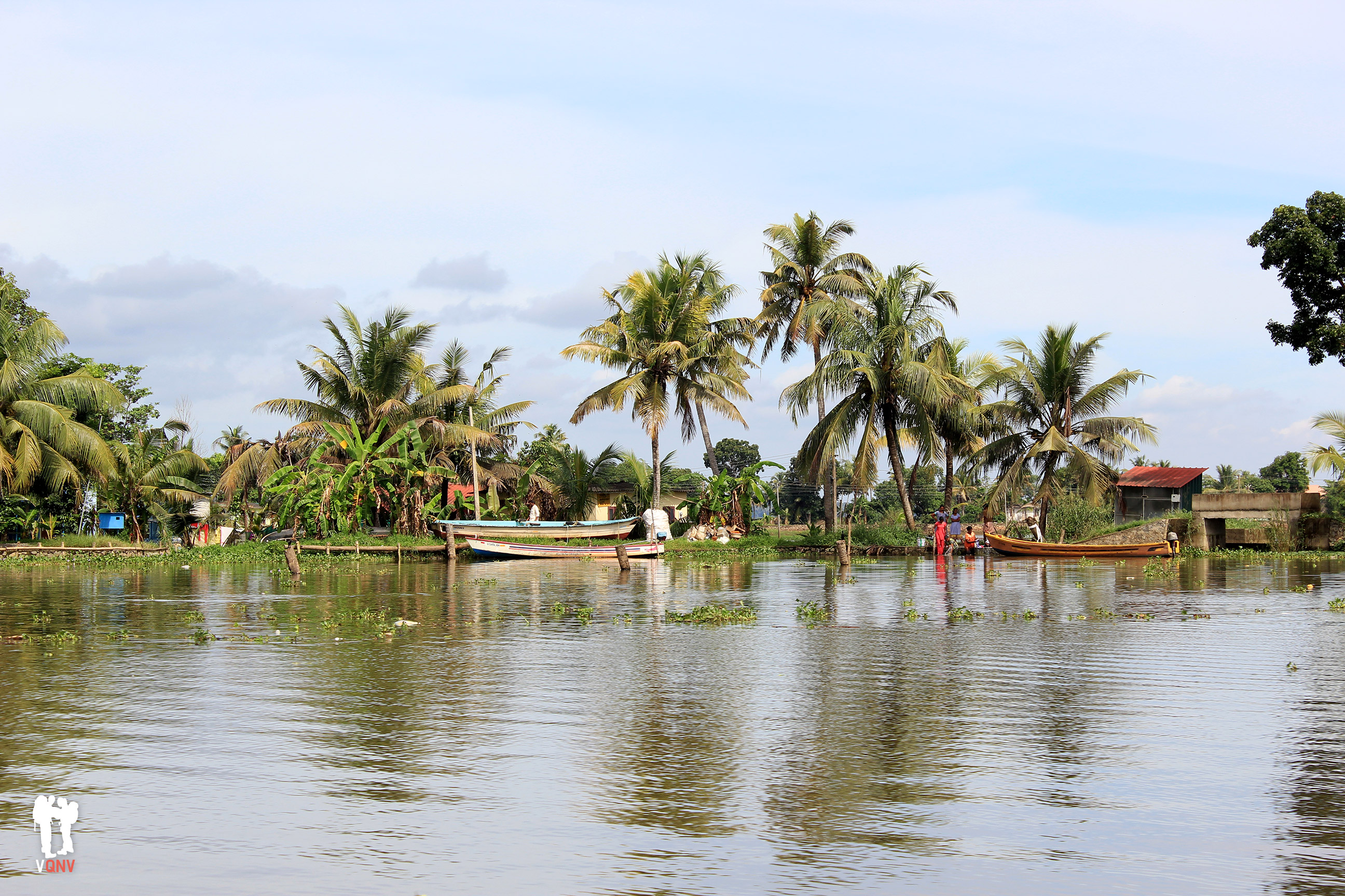 Día a día en los backwaters de Alleppey