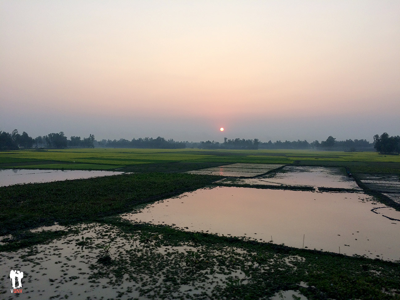 Paisajes desde un tren en Bangladesh. Vistas a los campos de arroz