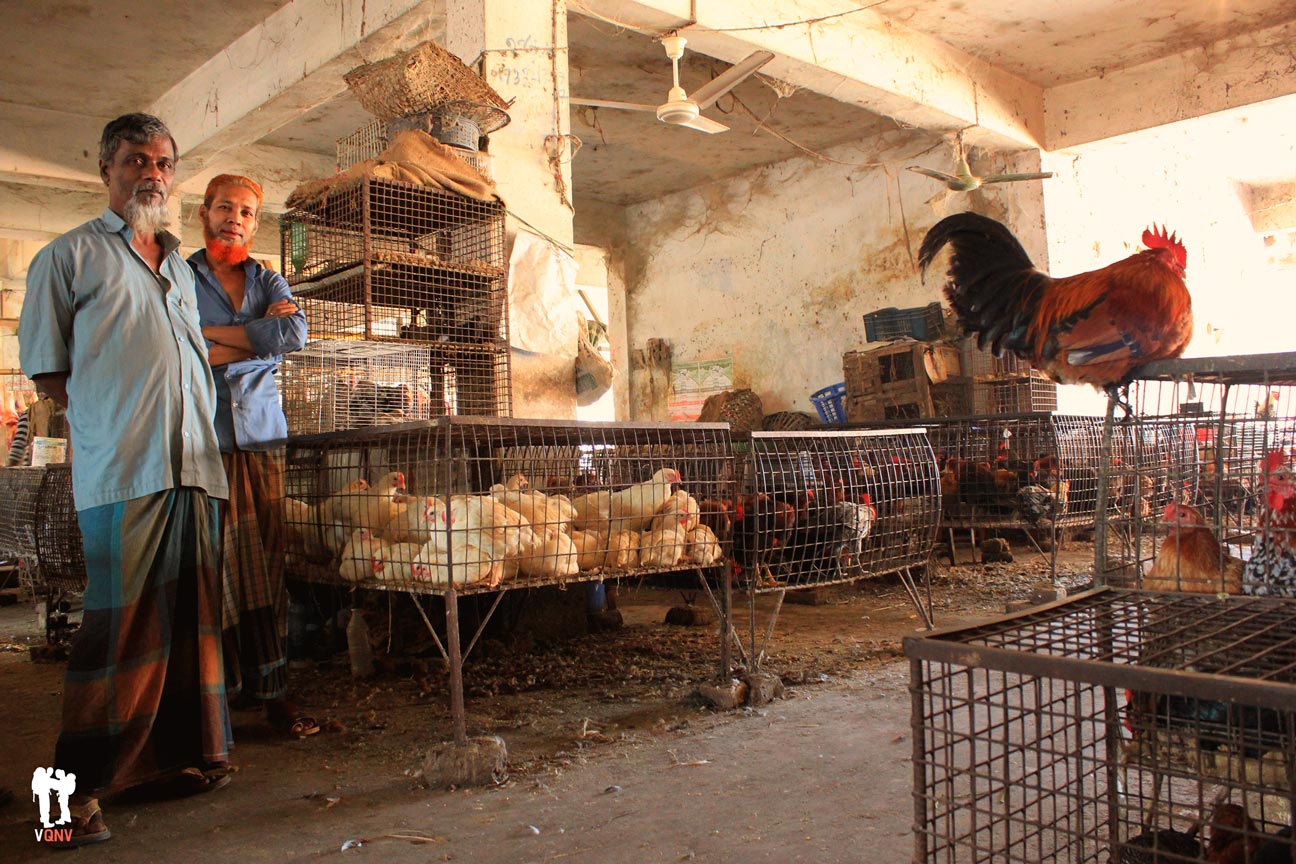 Vendedores de gallinas