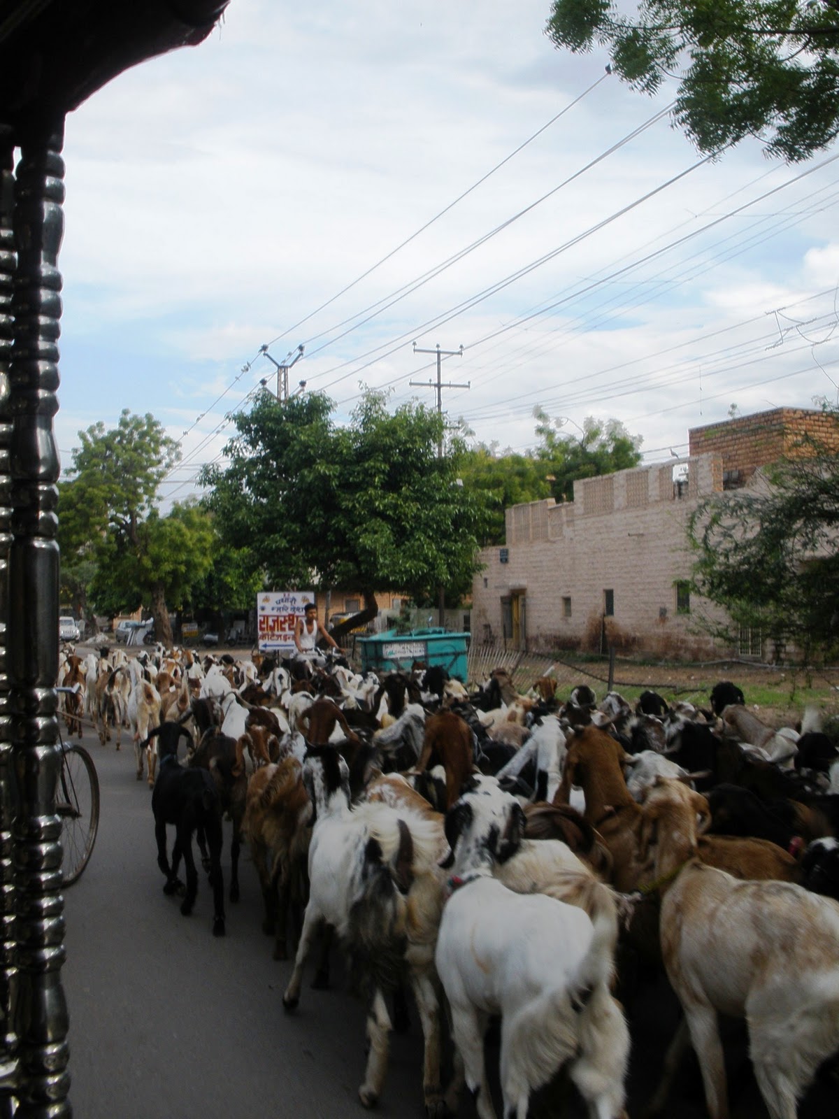 Dentro de un rickshaw